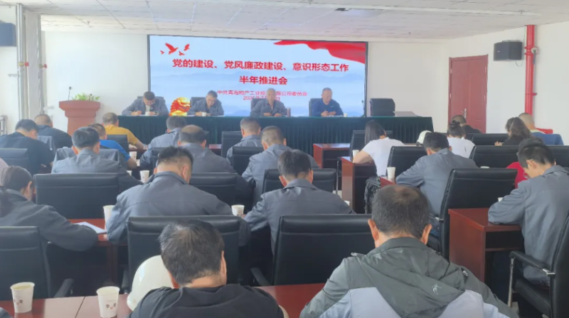 工投公司黨委召開黨的建設(shè)、黨風(fēng)廉政建設(shè)、意識形態(tài)工作半年推進(jìn)會